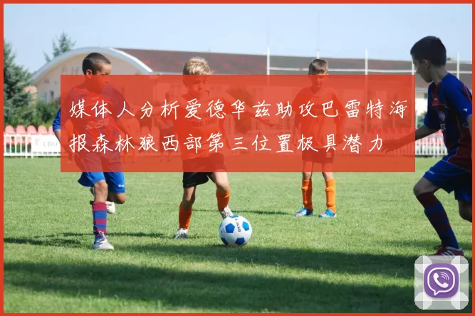 媒体人分析爱德华兹助攻巴雷特海报森林狼西部第三位置极具潜力